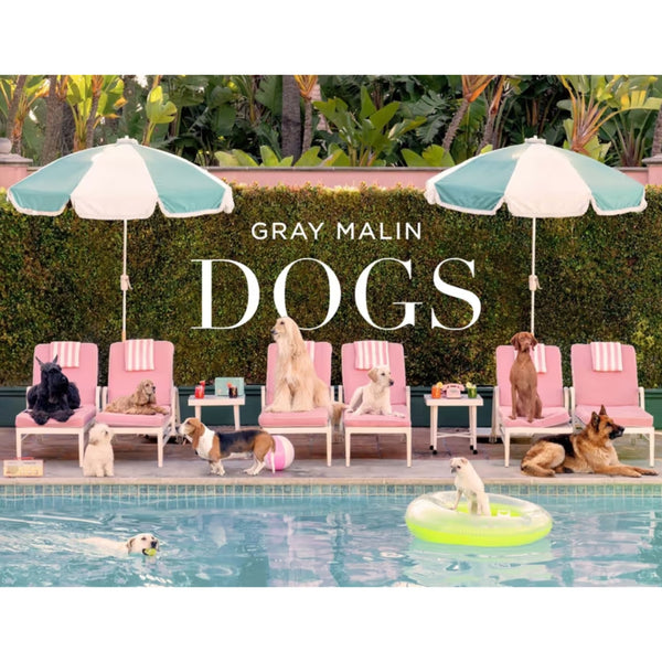 Gray Malin: Dogs